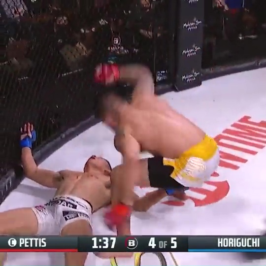Pettis, MMA's star, knocks Horiguchi cold with a 'KOof the year' spinning fist that sends commentator wild