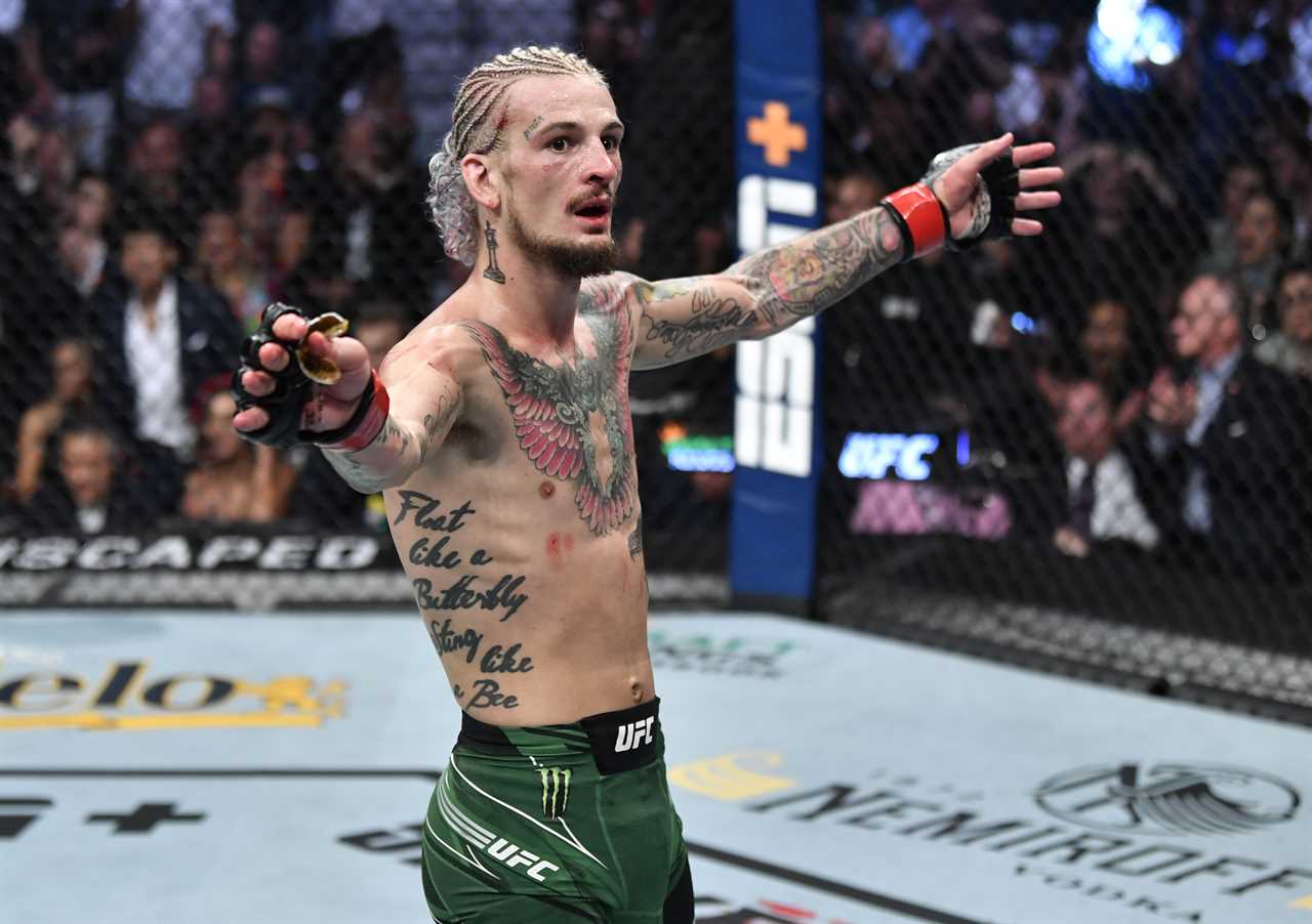 Dana White claims that viral UFC 269 UFC 269 fighter Sean O'Malley has 'NOT READY' for 'killers' such as Khamzat Chimaev
