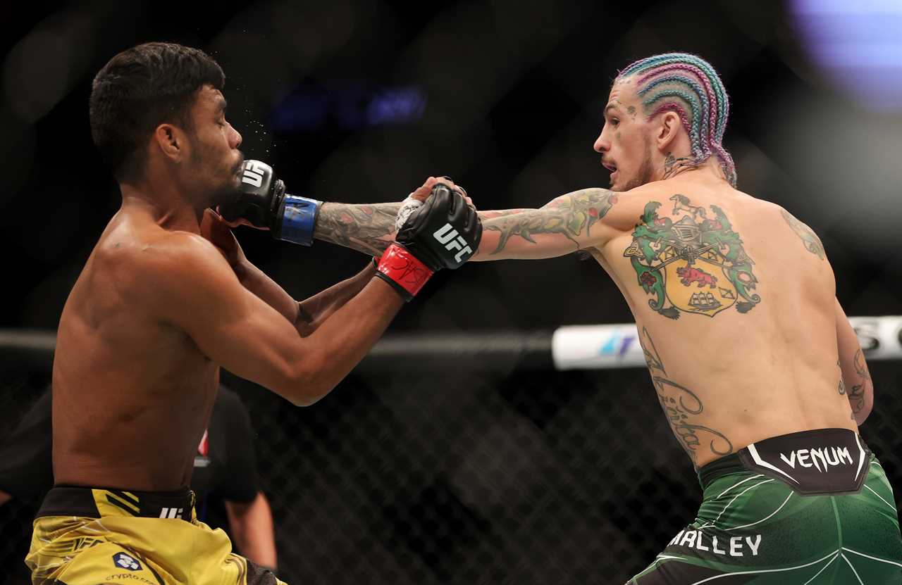 UFC 269: See UFC star Sean O'Malley score a brutal first round KO of Raulian Pava on Oliveira card vs. Poirier