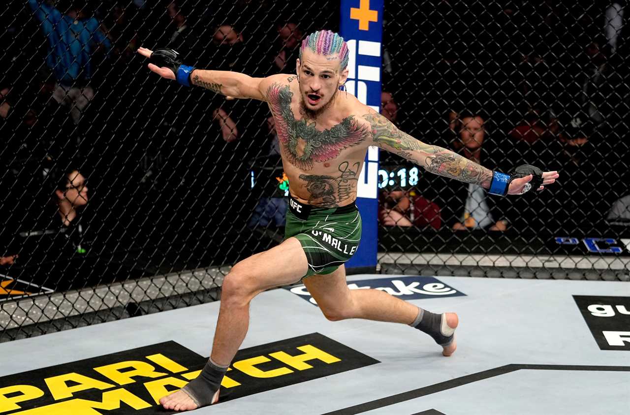 UFC 269: See UFC star Sean O'Malley score a brutal first round KO of Raulian Pava on Oliveira card vs. Poirier