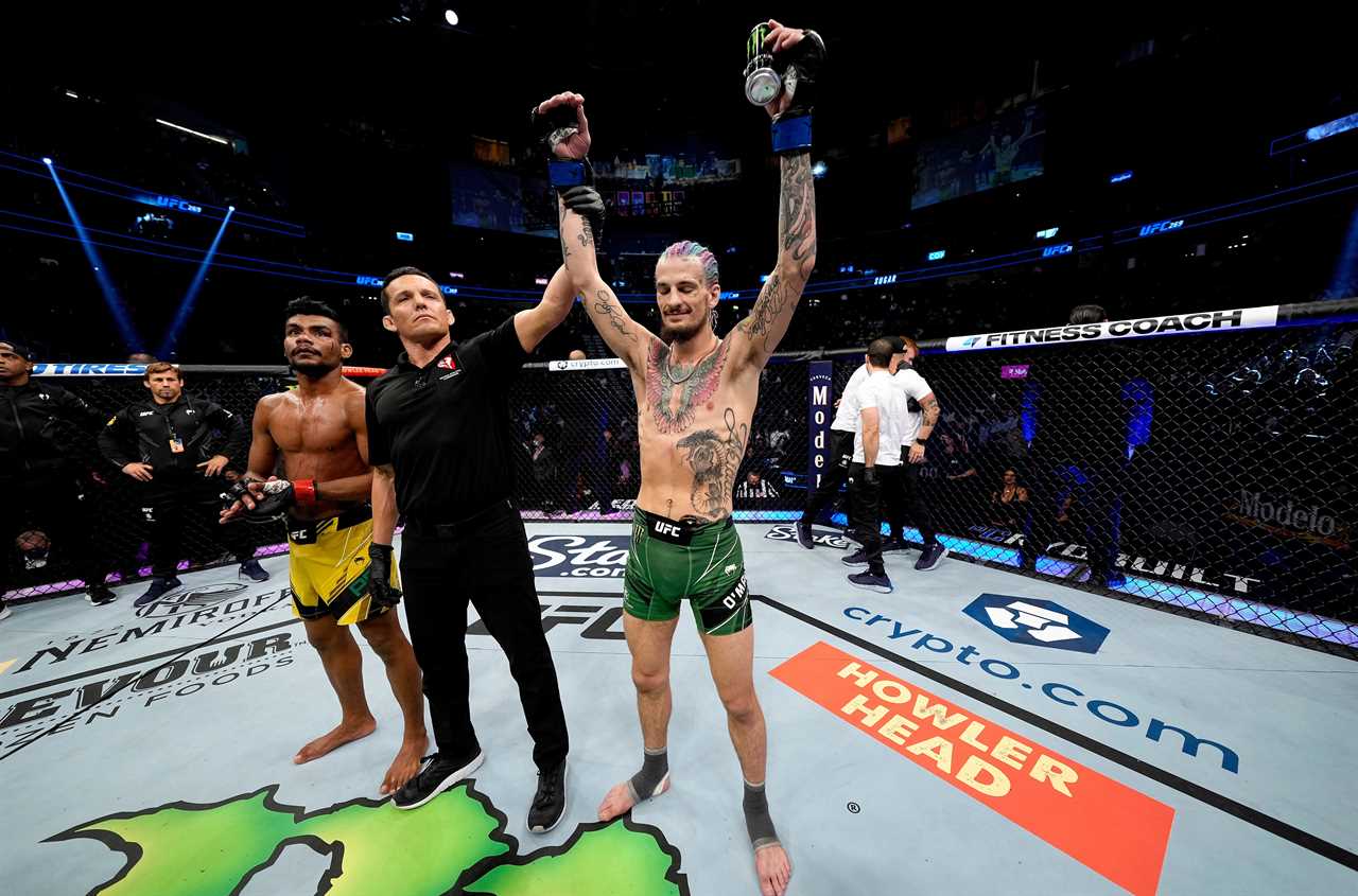 UFC 269: See UFC star Sean O'Malley score a brutal first round KO of Raulian Pava on Oliveira card vs. Poirier