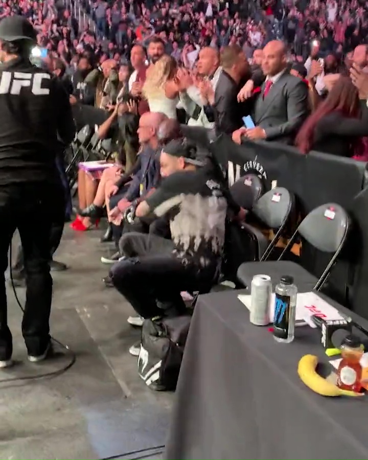 White, chief of UFC, says Chiesa was drunk after trying to enter the octagon with Pena to celebrate her win.