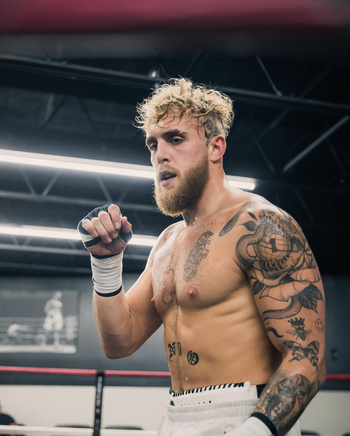 Jake Paul's training camp for Tyron Woodley ex-UFC star, including sparring 150 rounds with ex-world champions