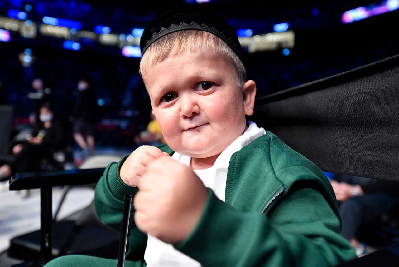 After meeting Dana White at Fight Island, Hasbulla, a social media sensation, has decided to forgo fighting in the UFC.