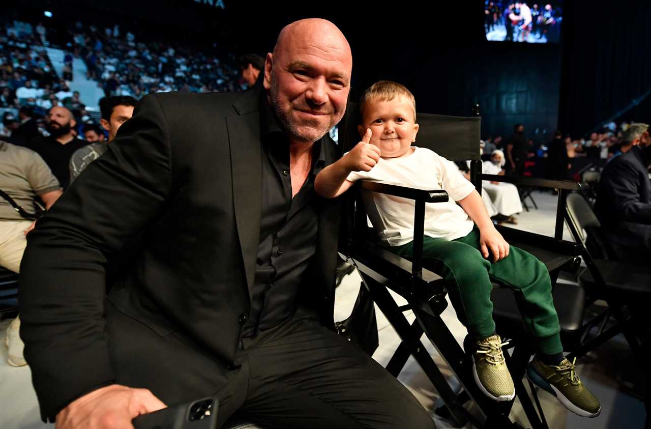 After meeting Dana White at Fight Island, Hasbulla, a social media sensation, has decided to forgo fighting in the UFC.