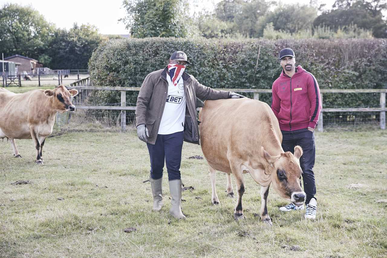 Dereck Chisora's farm is where heavyweights are forced to feed cows after brutal battles