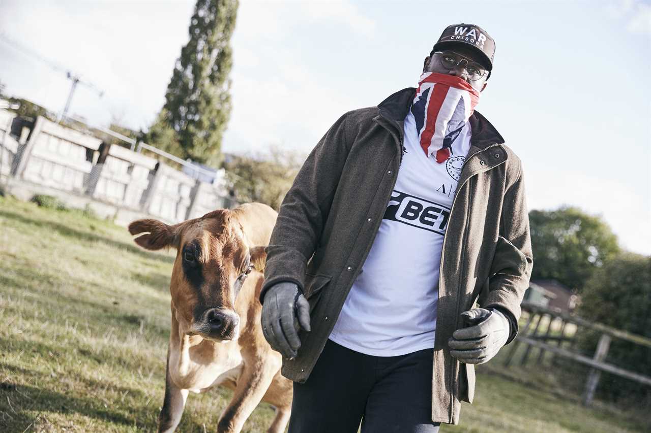 Dereck Chisora's farm is where heavyweights are forced to feed cows after brutal battles