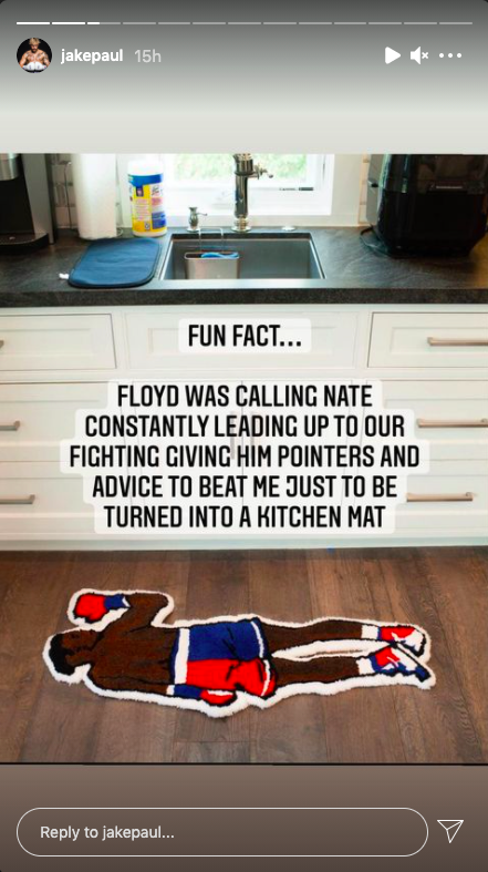 Jake Paul uses KO'd Nate Robinson's kitchen mat to cover his floor after he brutally floors ex-NBA star in fight