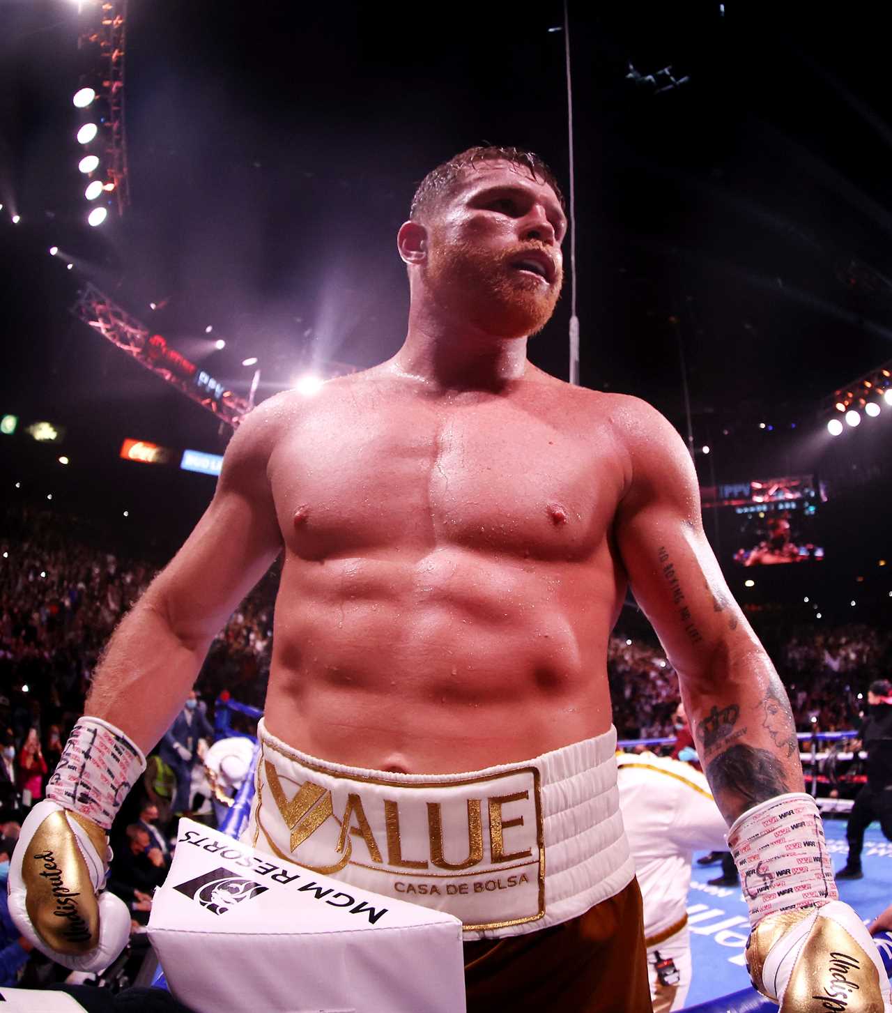 Jake Paul is keen to fight Canelo Alvarez and says he'll fight his brother Logan before ever confronting Tommy Fury