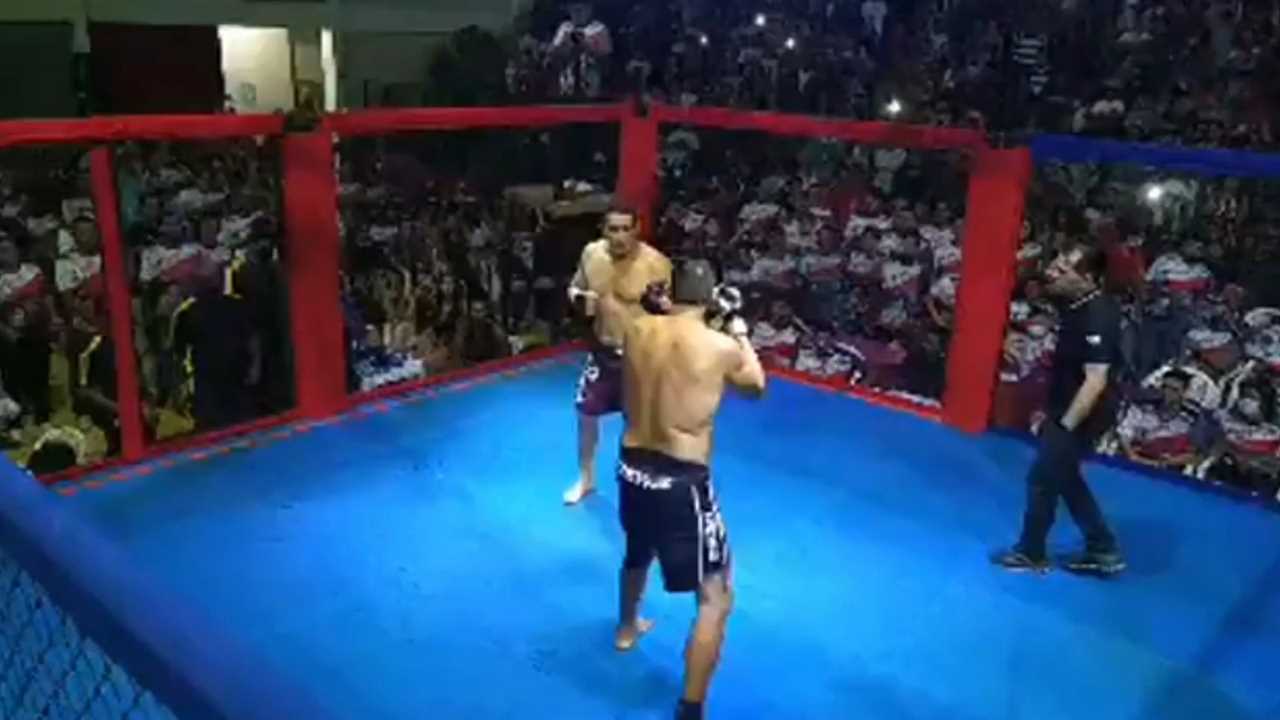 Watch as politicians fight it out in a brutal MMA fight in order to settle a dispute about conservation in the Amazonian region