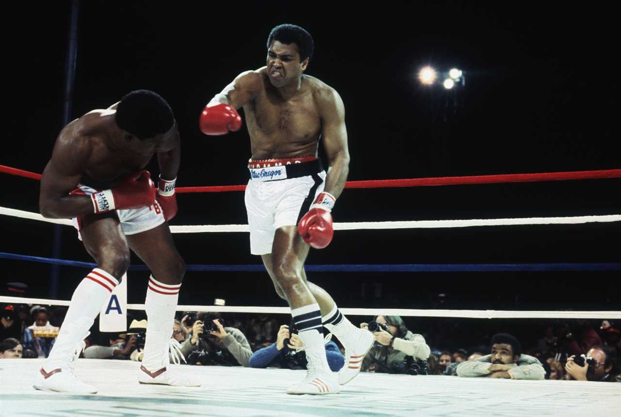 I think it means some - Jake Paul, who shares the same birthday as Muhammad Ali, says Mike Tyson called him the GOAT.