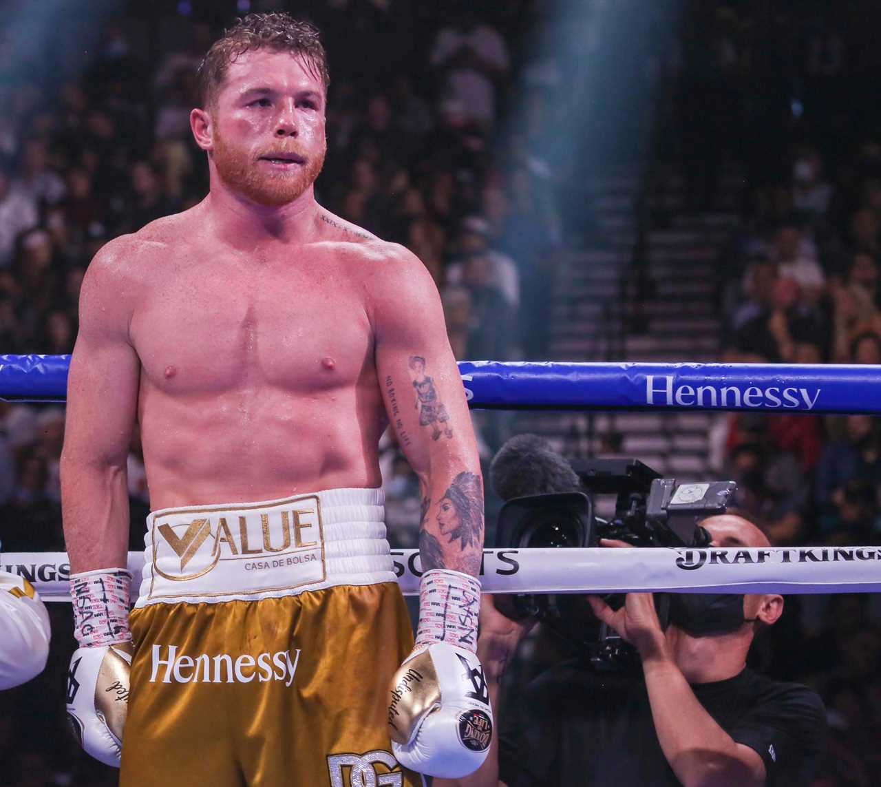 Jake Paul says he would only switch to UFC if he faced Canelo Alvarez. He also has an undefeated 12-0 record in boxing.
