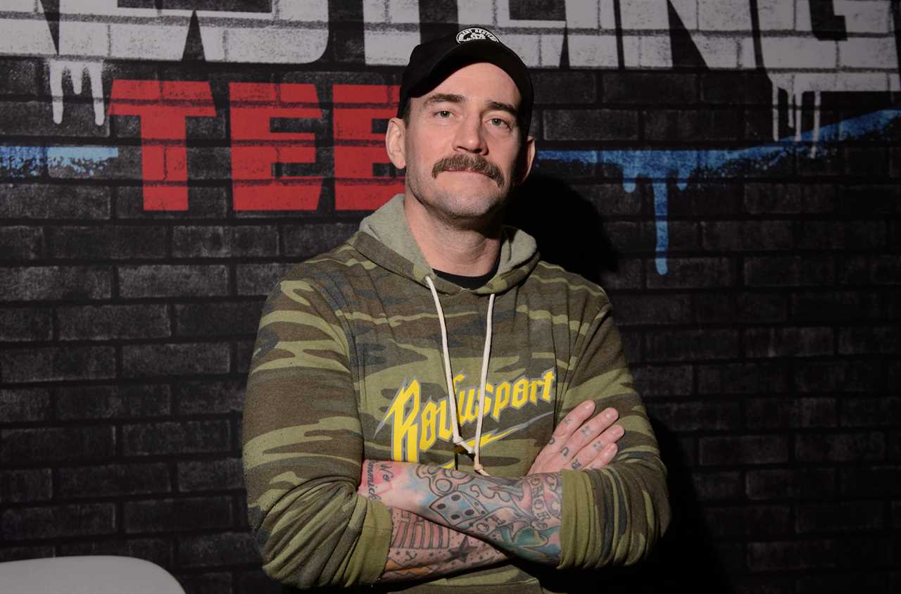 CM Punk, a Wrestling legend and former fighter in the UFC, gives his support to Jake and Logan Paul.