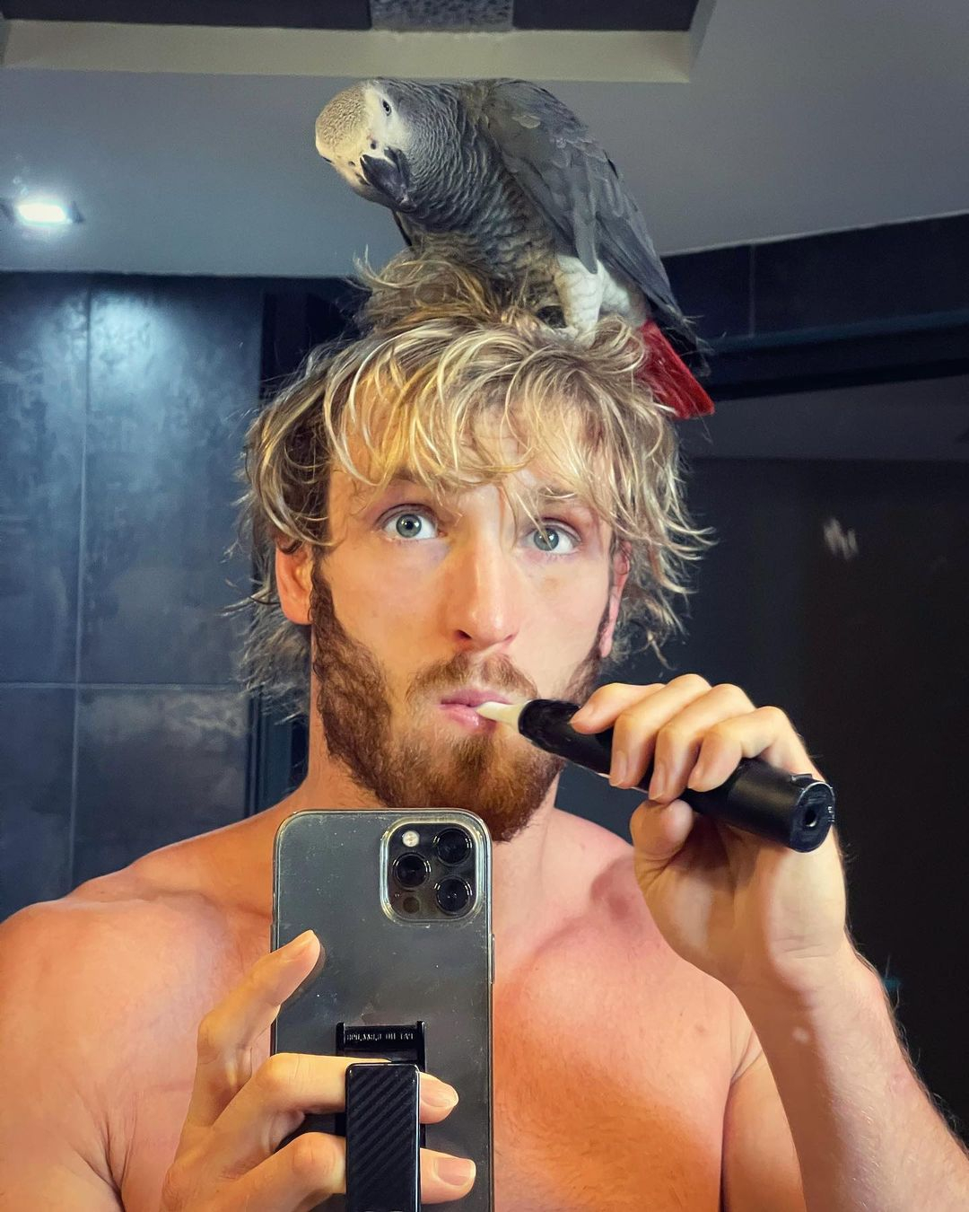 Logan Paul net worth: How rich is Floyd Mayweather's boxing rival?