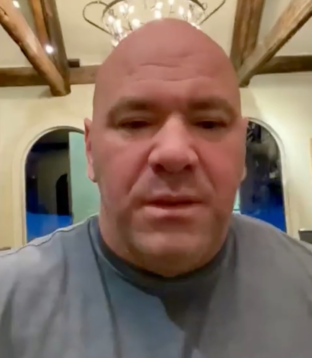 Jake Paul claims he has never used steroids and displays a 'fat' body in an explosive Twitter response to Dana White, UFC boss