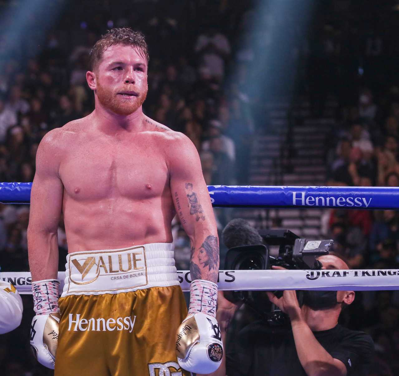 Canelo Alvarez is tipped to gain weight and overtake Tyson Fury, Oleksandr Usyk.