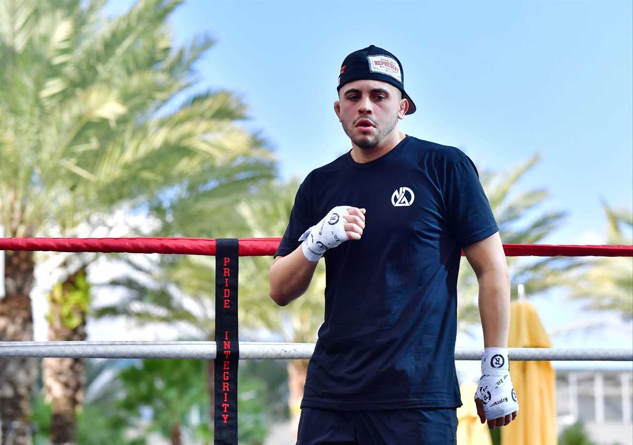 Jake Paul cautioned against facing Nate Diaz, a'real fighter' in the UFC. His team-mate claims he would win 'hands down.