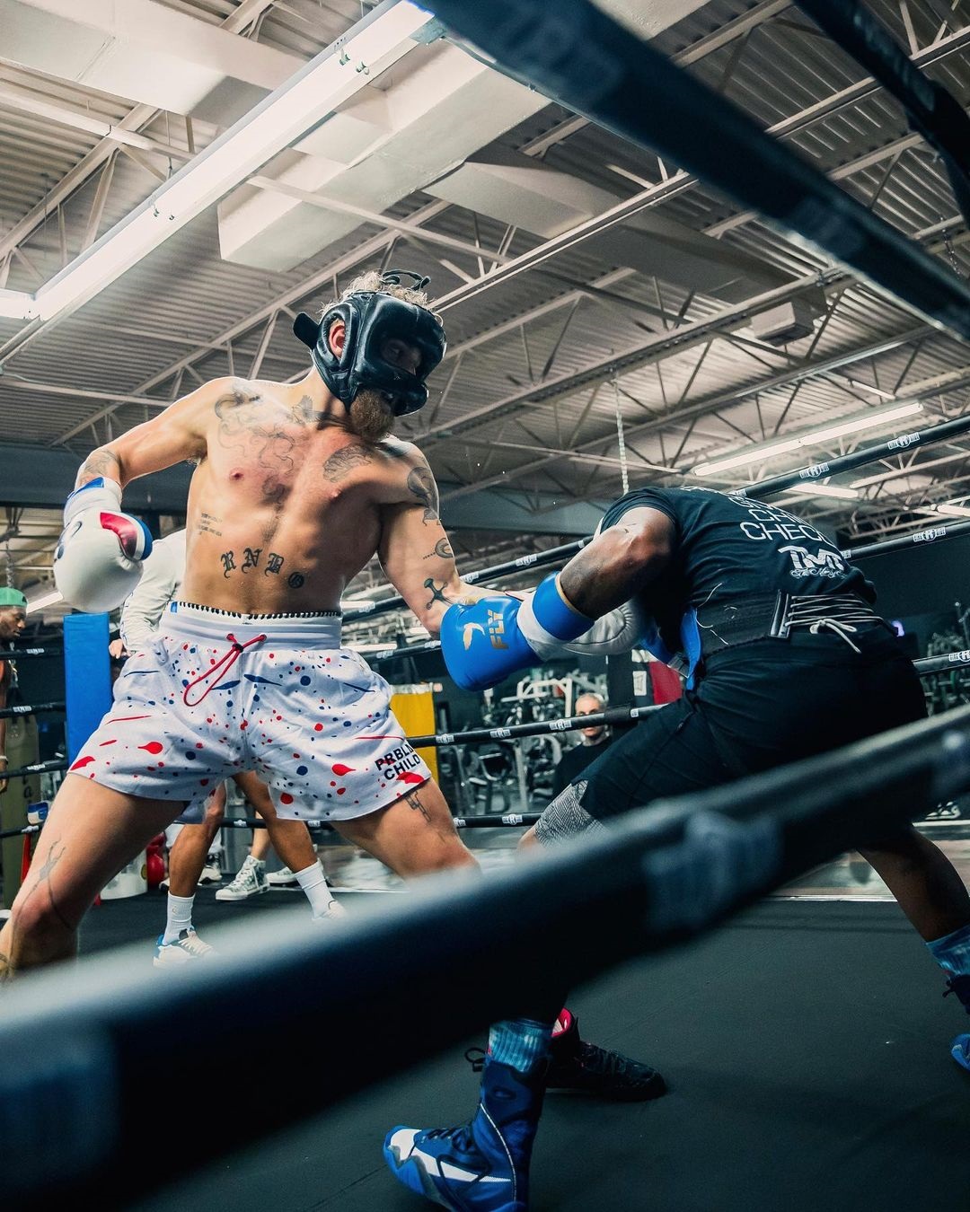After a YouTuber's fight with Dana White, Marvin Vettori from UFC calls Jake Paul to say Put your nuts on