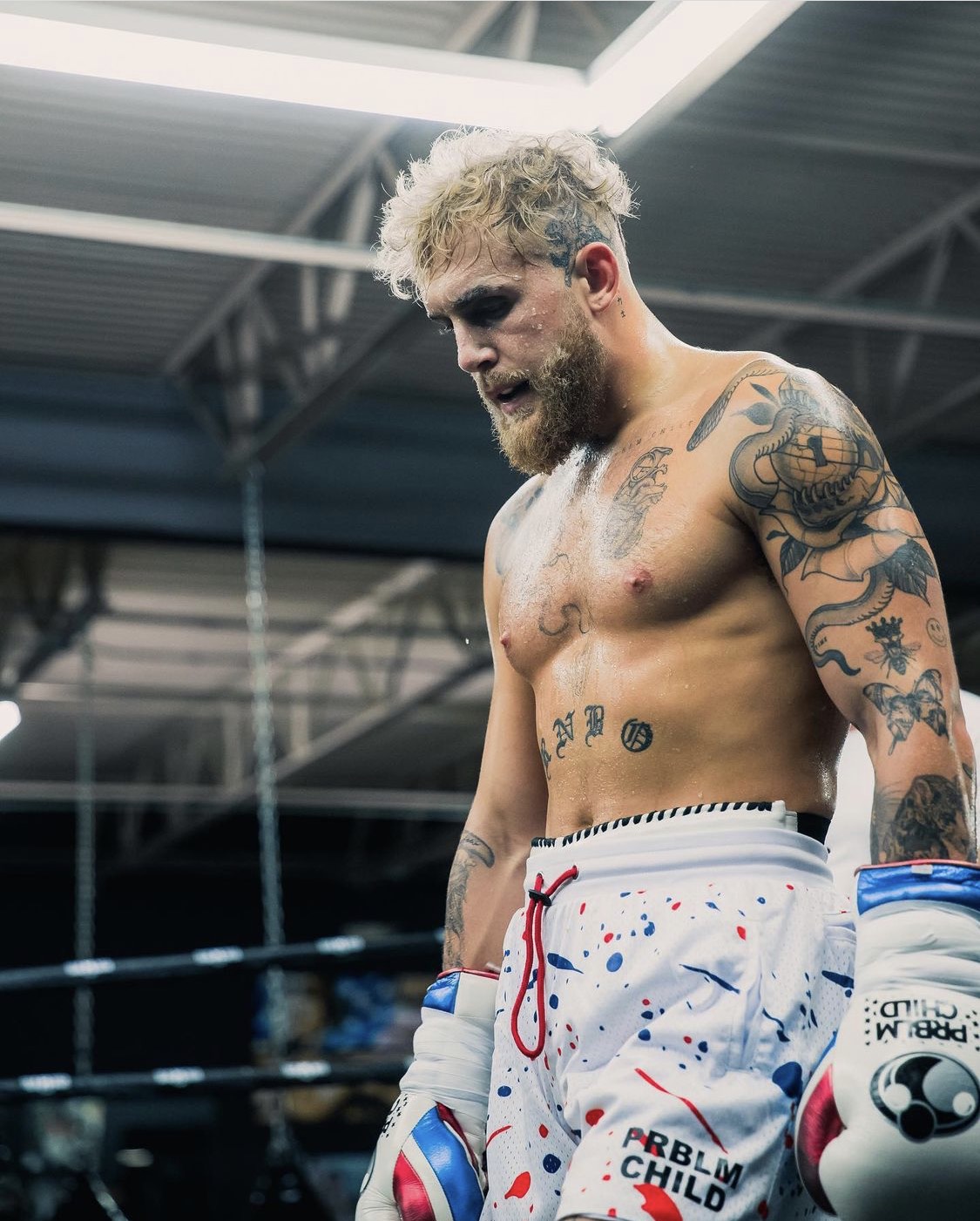 Julio Cesar Chavez Jr. was urged to quit boxing if Jake Paul, a YouTuber with the iconic father's name on it, loses.