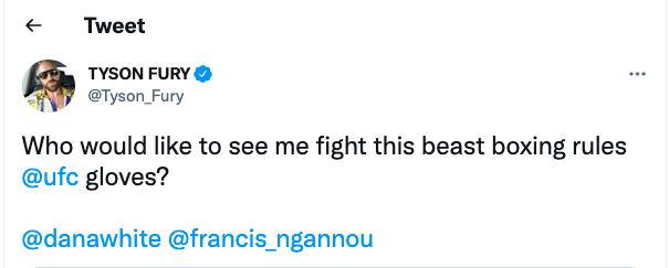 Tyson Fury asks Dana White for a boxing match against Francis Ngannou, the 'beast' of UFC GLOVES.
