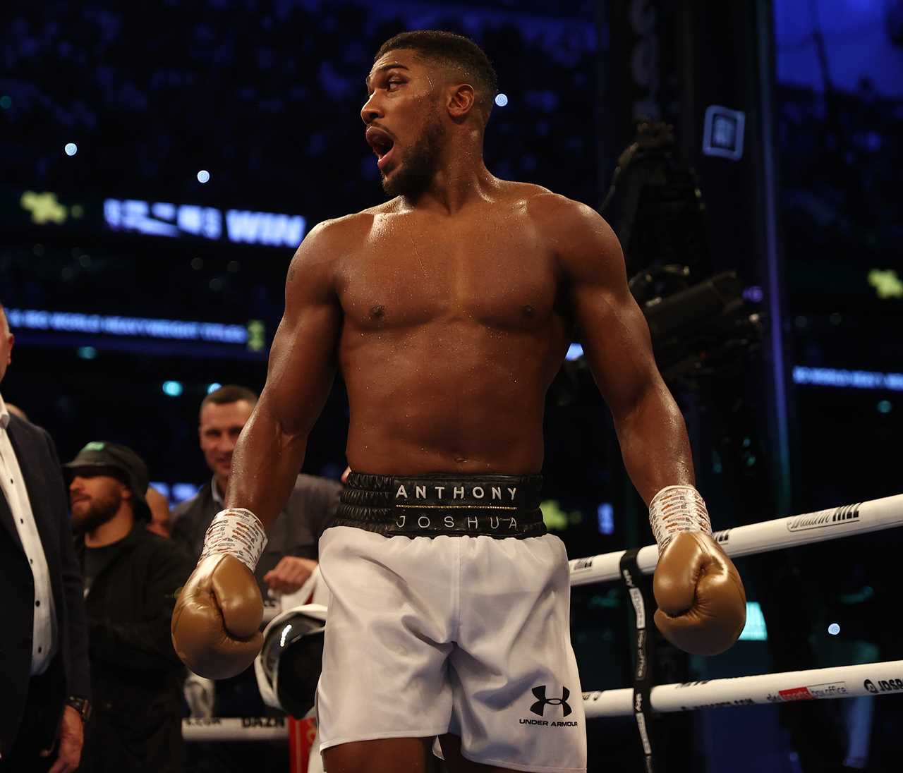 Anthony Joshua said he will need some luck to get his revenge on Oleksandr Usyk, and save Tyson Fury's fight hopes