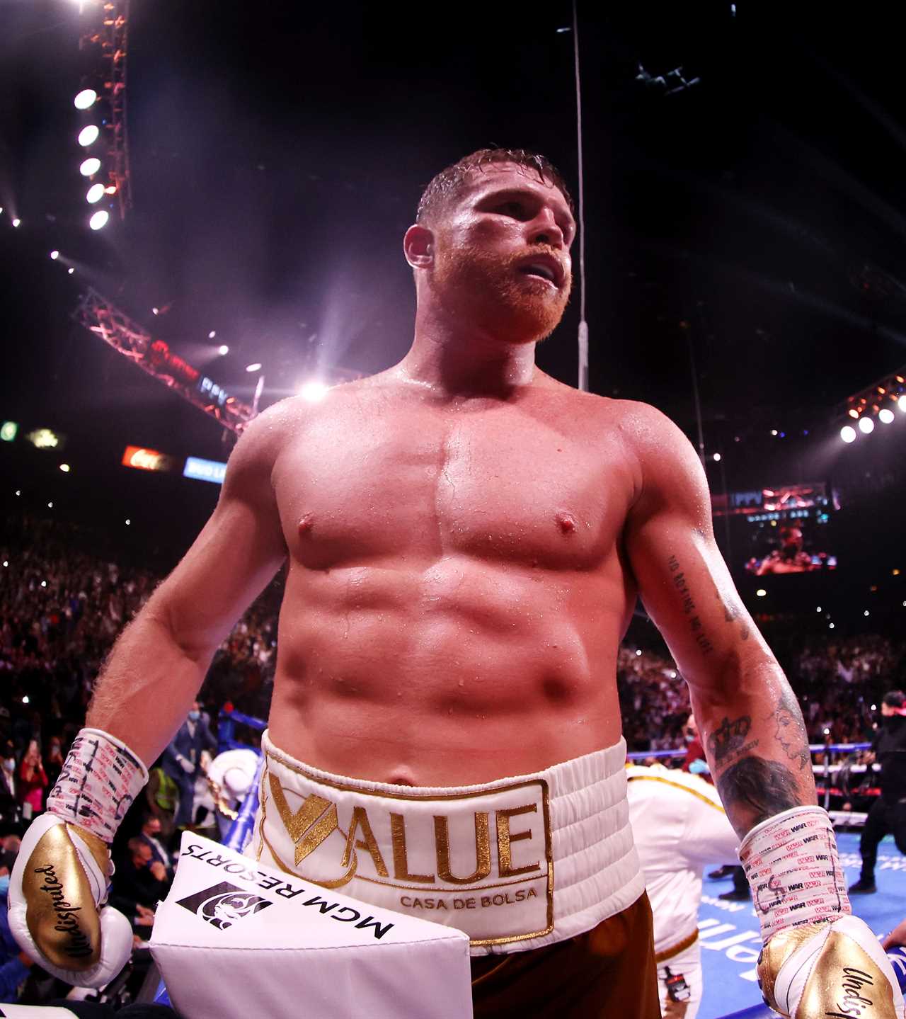 Canelo Alvarez is'much less likely' to fight 32-0 JermallCharlo NEXT than a cruiserweight bout against Ilunga Makabu
