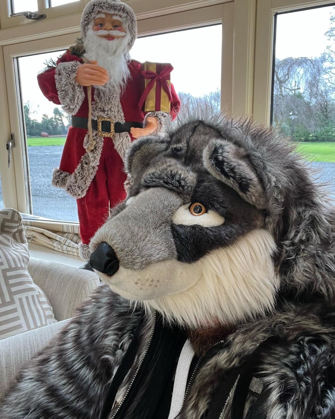 Conor McGregor, UFC fighter, dresses in a wolf costume and keeps Santa decorations up for weeks after Christmas