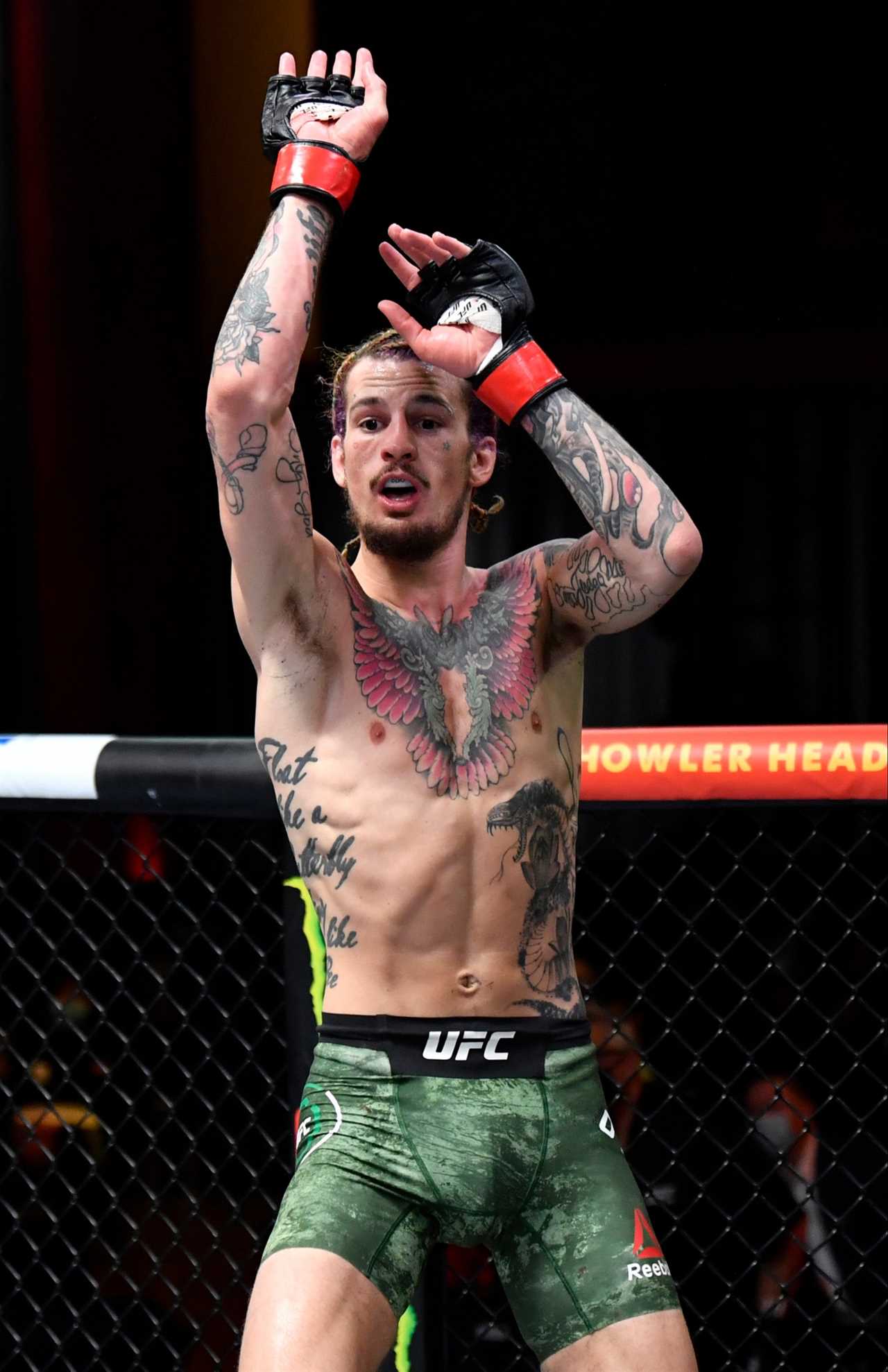 Sean O'Malley warned Jake Paul that fighting in MMA was a 'different kind of fight' after claiming he'd signed a UFC one-fight deal