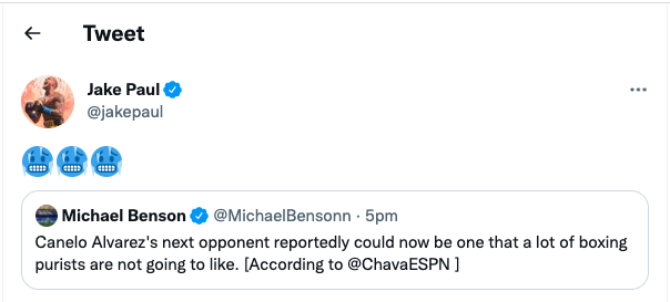 Jake Paul makes a hint at Canelo alvarez fight, and he responds by saying Mexican's next opponent 'is not for boxing purists.