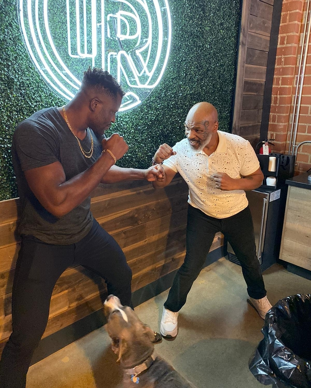 Francis Ngannou said it was a great honour to be compared with Mike Tyson, the greatest boxer ever, ahead of UFC 2270