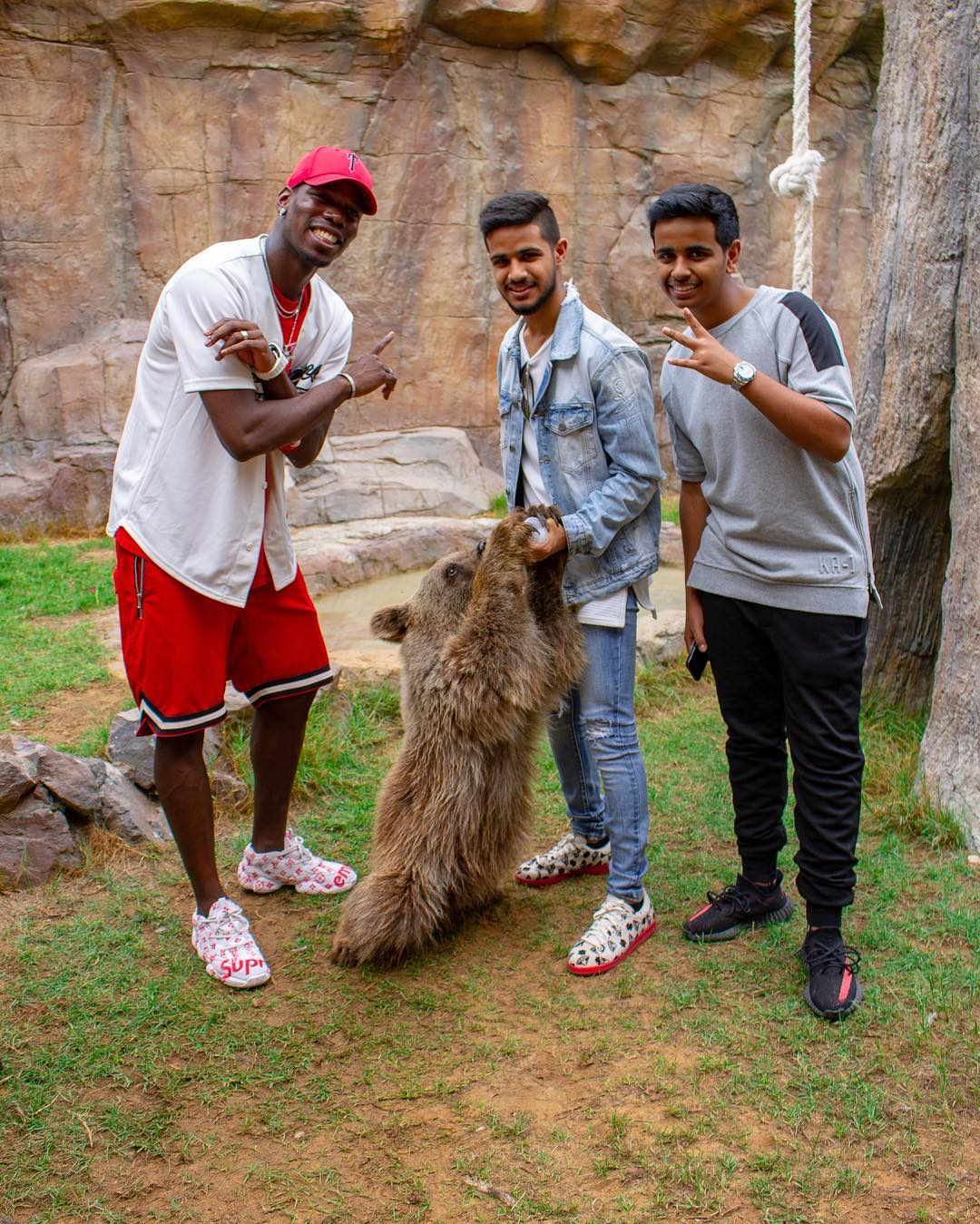 Floyd Mayweather and Money Kicks met at a YouTuber's private ZOO as a skinny teen. Now they're ready for a bizarre fight