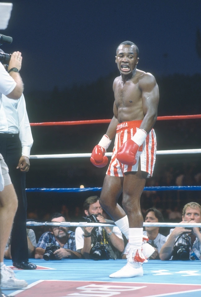 The Kings are ready to display the unsurpassed brilliance, blood-tingling thrills, and skills of four true boxing legends