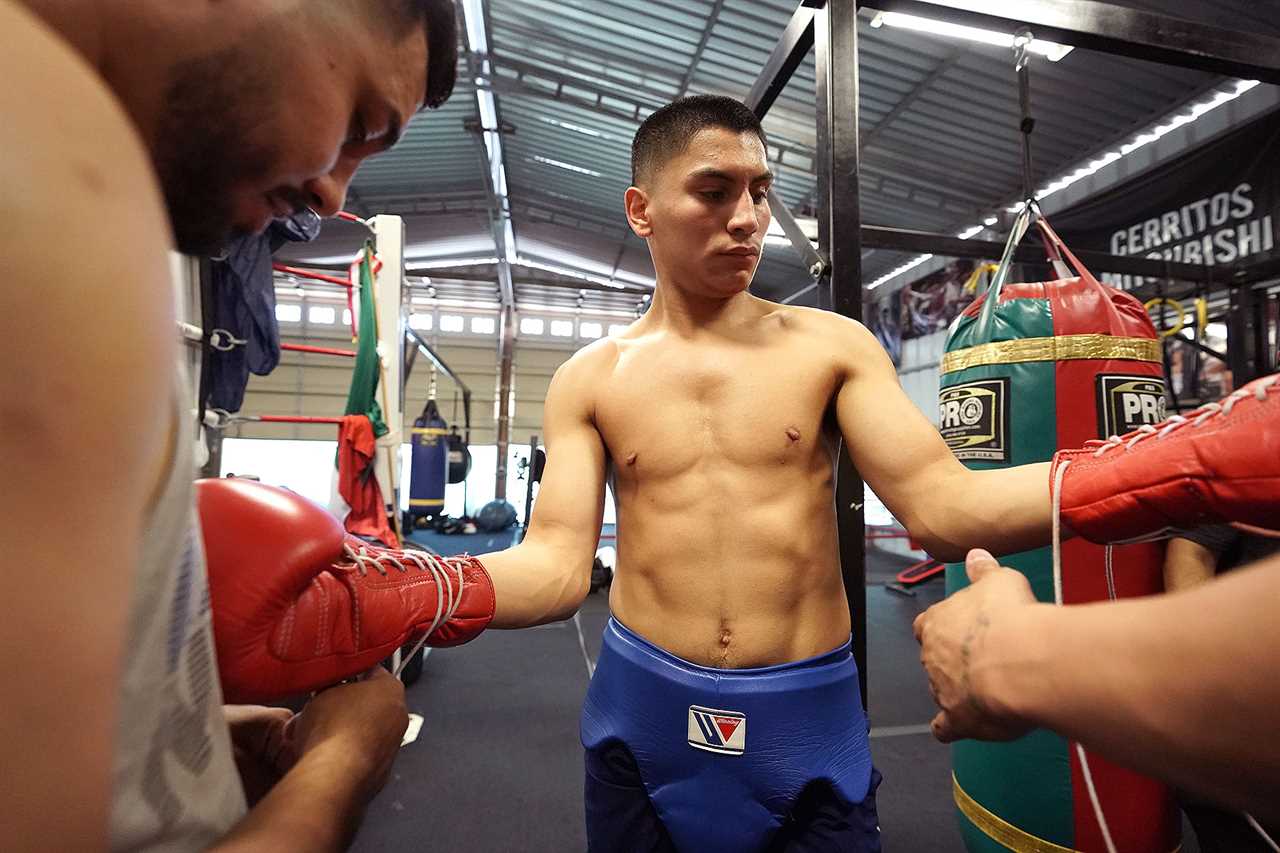 Rising star Vergil Ortiz from the USA is a 100% KO fighter and is in line to fight Terence Crawford and Errol Spence Jr