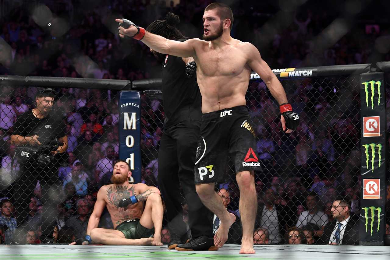 Conor McGregor was disappointed by Khabib and he admitted that he didn't recall the infamous brawl following UFC grudge match.