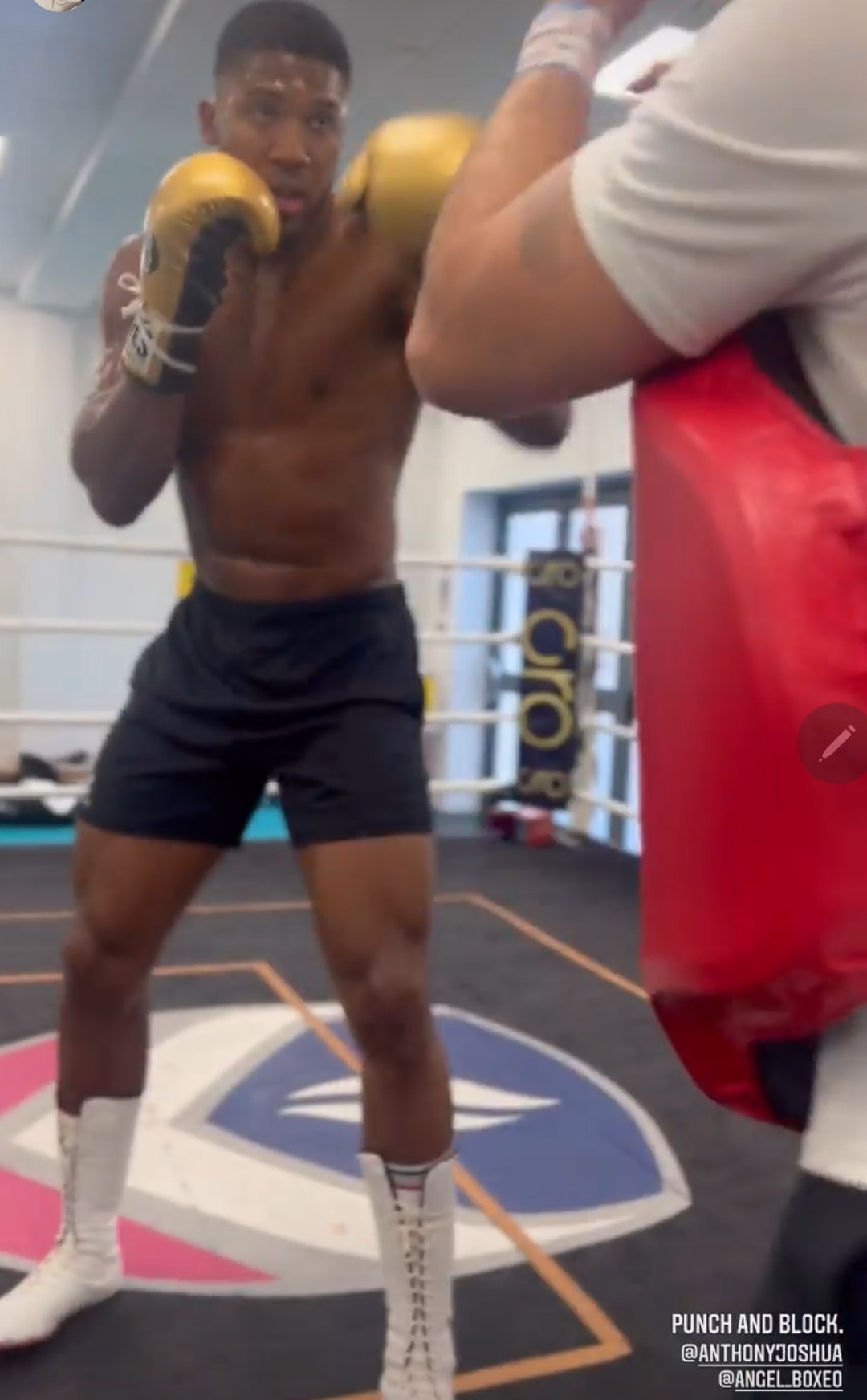 Anthony Joshua is the fun uncle as he and his family indulge in watersports during a day before Usyk rematch