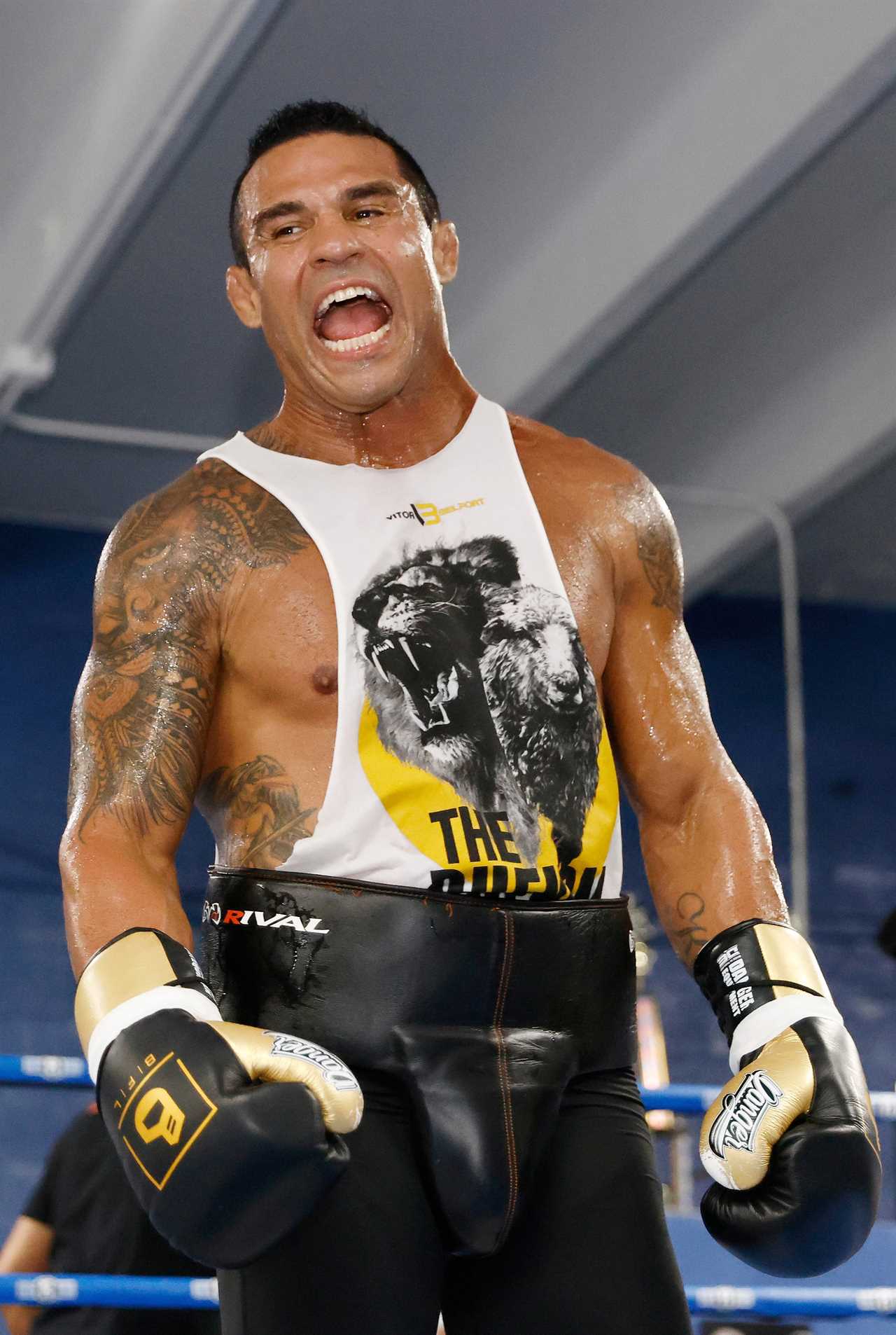 After Floyd Mayweather fight Logan Paul will face five opponents, including Belfort, a rematch and taking on UFC icon Belfort.