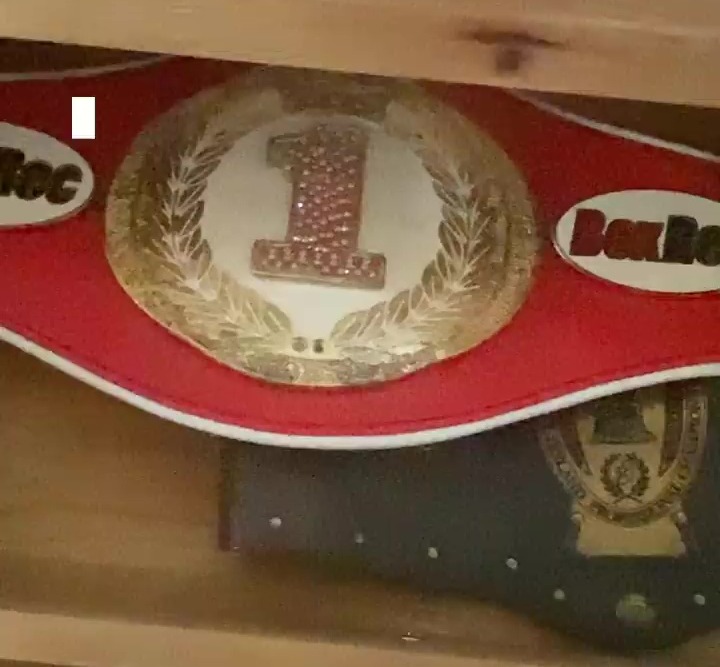 Tyson Fury's impressive collection of world titles belts shines as he tries to defeat Whyte and unify the heavyweight division