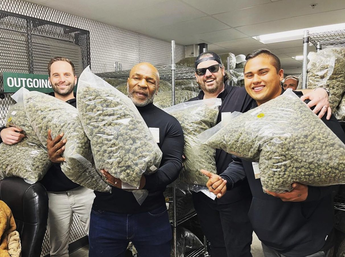 Mike Tyson has to deal with large amounts of marijuana as the boxing legend visits new partners for his business.