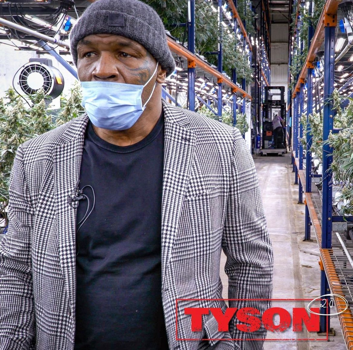 Mike Tyson has to deal with large-sized marijuana bags when the boxing legend visits him and his new partners in the marijuana business.
