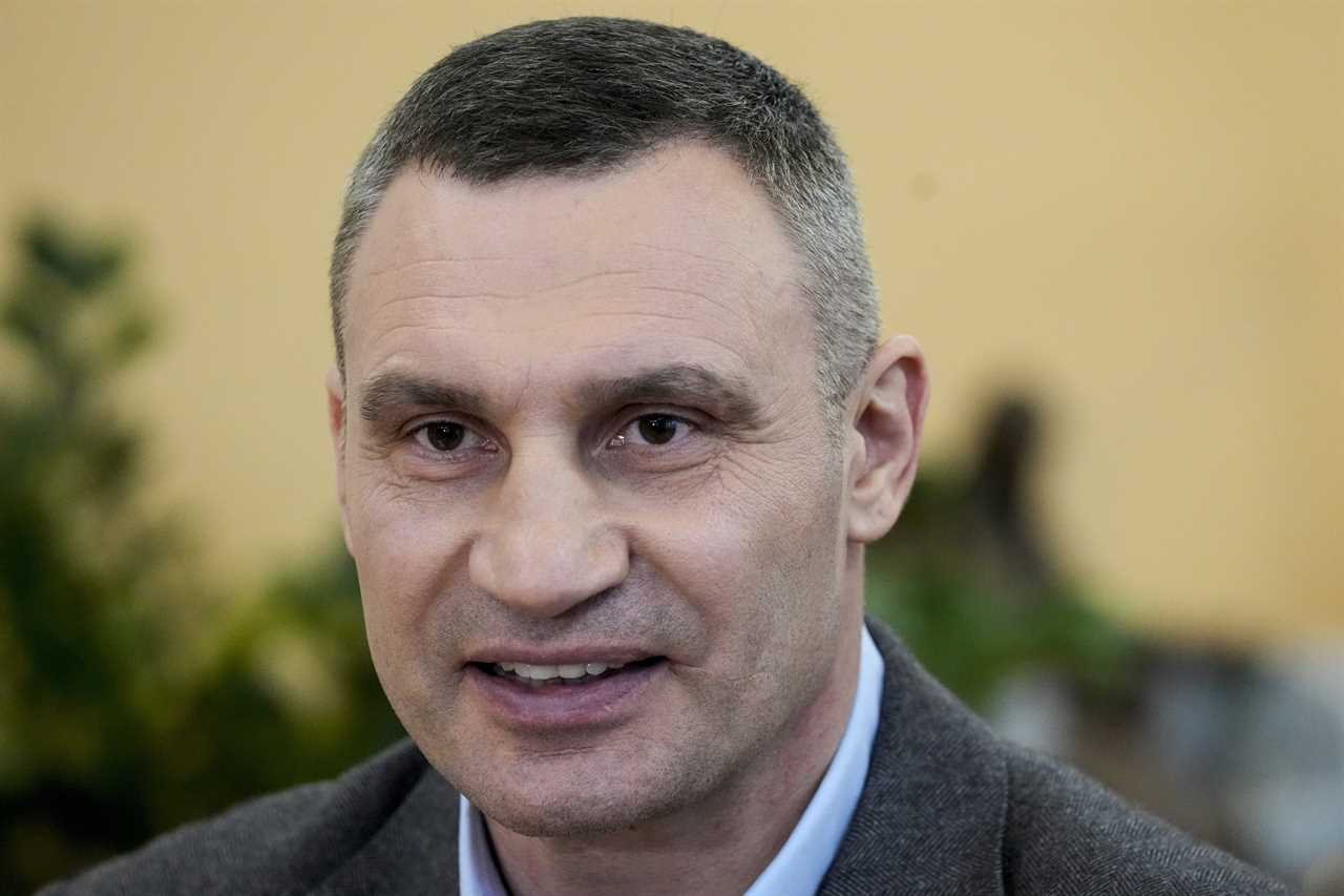 Who is Vitali Klitschko, the Kyiv mayor?