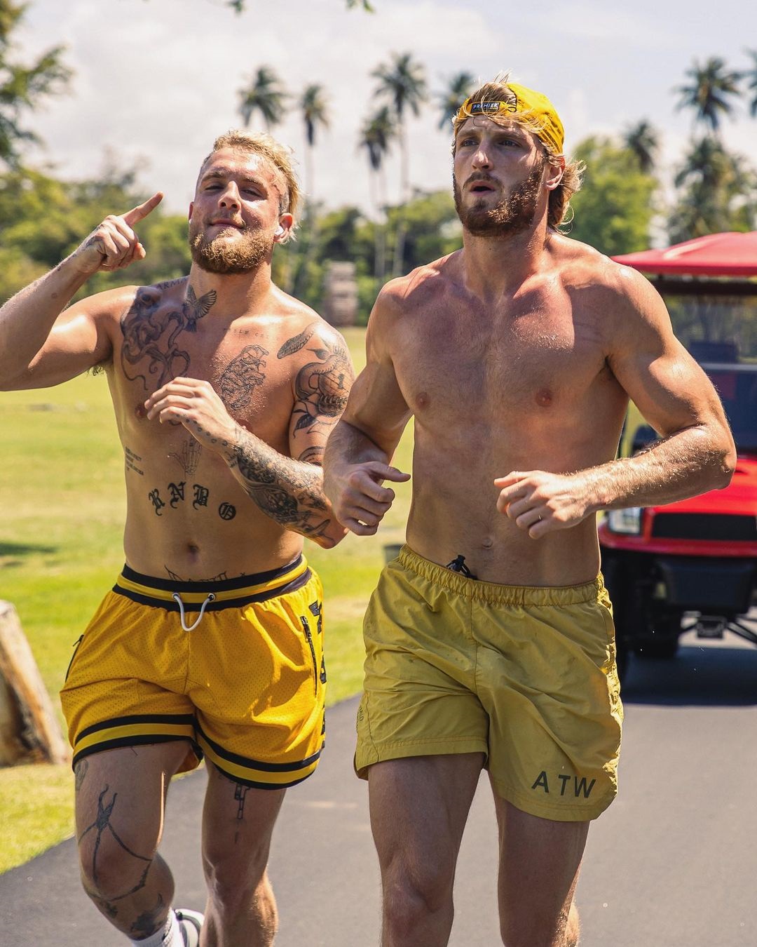 Logan Paul supports Jake's brother Jake, and backs YouTuber Conor McGregor and Nate Diaz in the UFC.