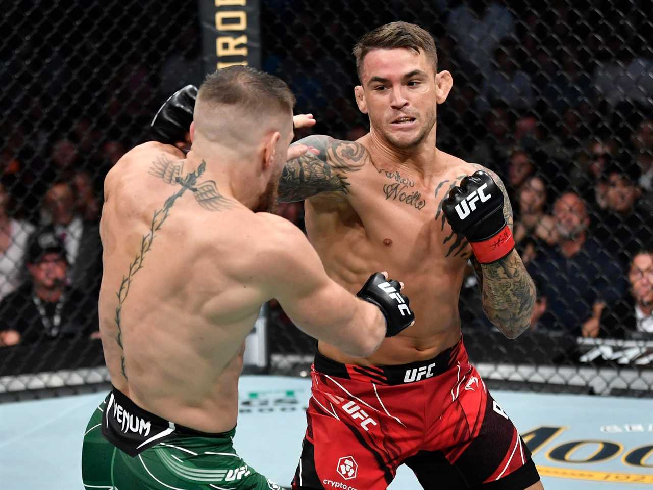 UFC rivals Dustin Poirier and Nate Diaz form an unlikely alliance to brutally troll Conor McGregor via Twitter