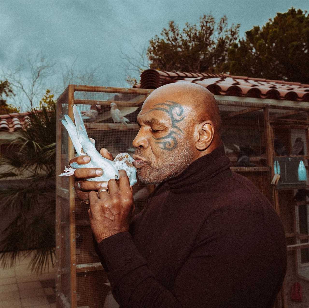 Mike Tyson's video shows him kissing a pigeon, and sending his beloved flock of birds flying in bizarre video
