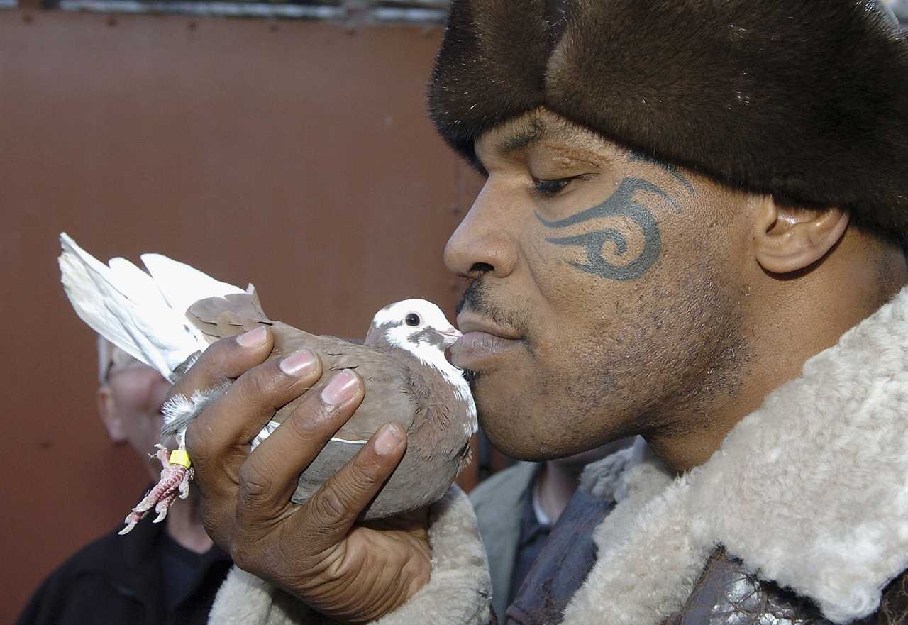 Mike Tyson's video shows him kissing a pigeon, and sending his beloved flock of birds flying in bizarre video