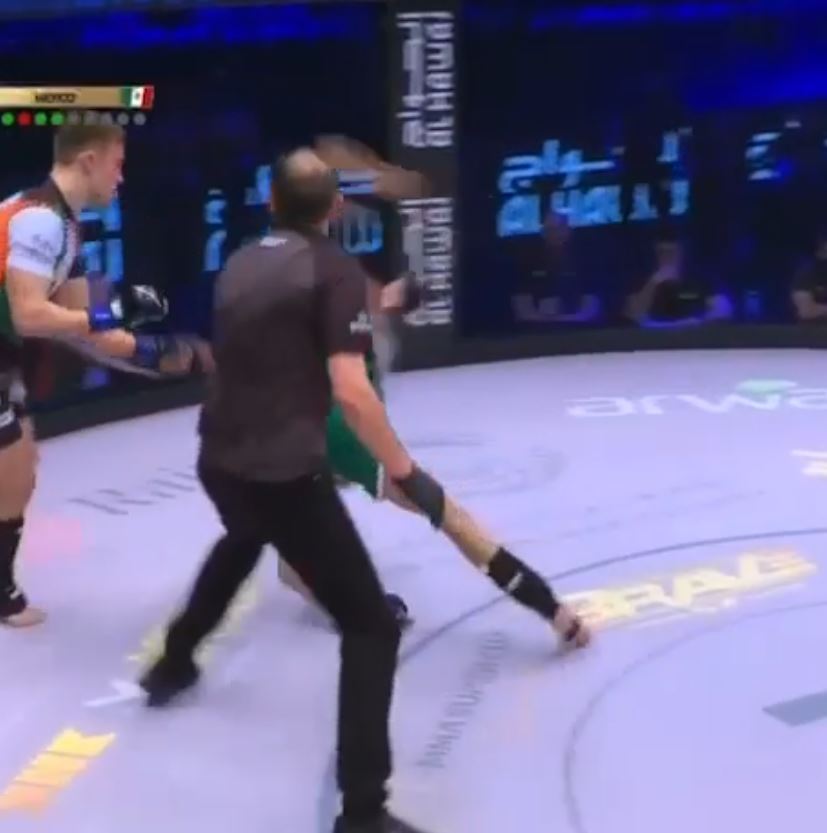 Amazing moment: Referee gets knocked out during MMA fight.