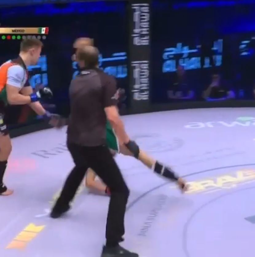 Amazing moment: Referee gets knocked out during MMA fight.
