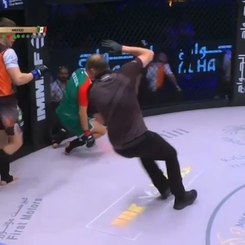 Amazing moment: Referee gets knocked out during MMA fight.