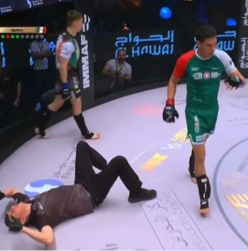 Amazing moment: Referee gets knocked out during MMA fight.