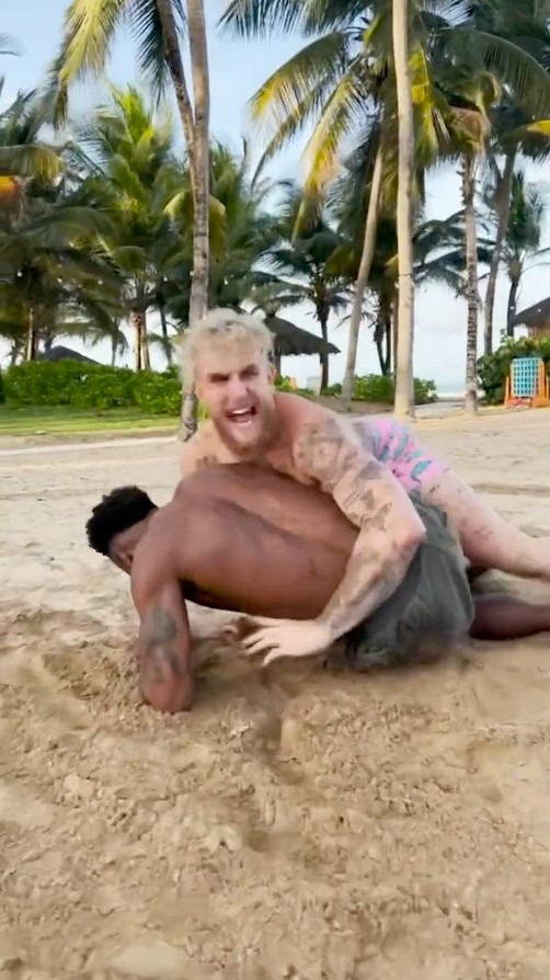 As Conor McGregor screams at Jake Paul over the 'jackass video, he asks Dana White to organize a UFC fight.