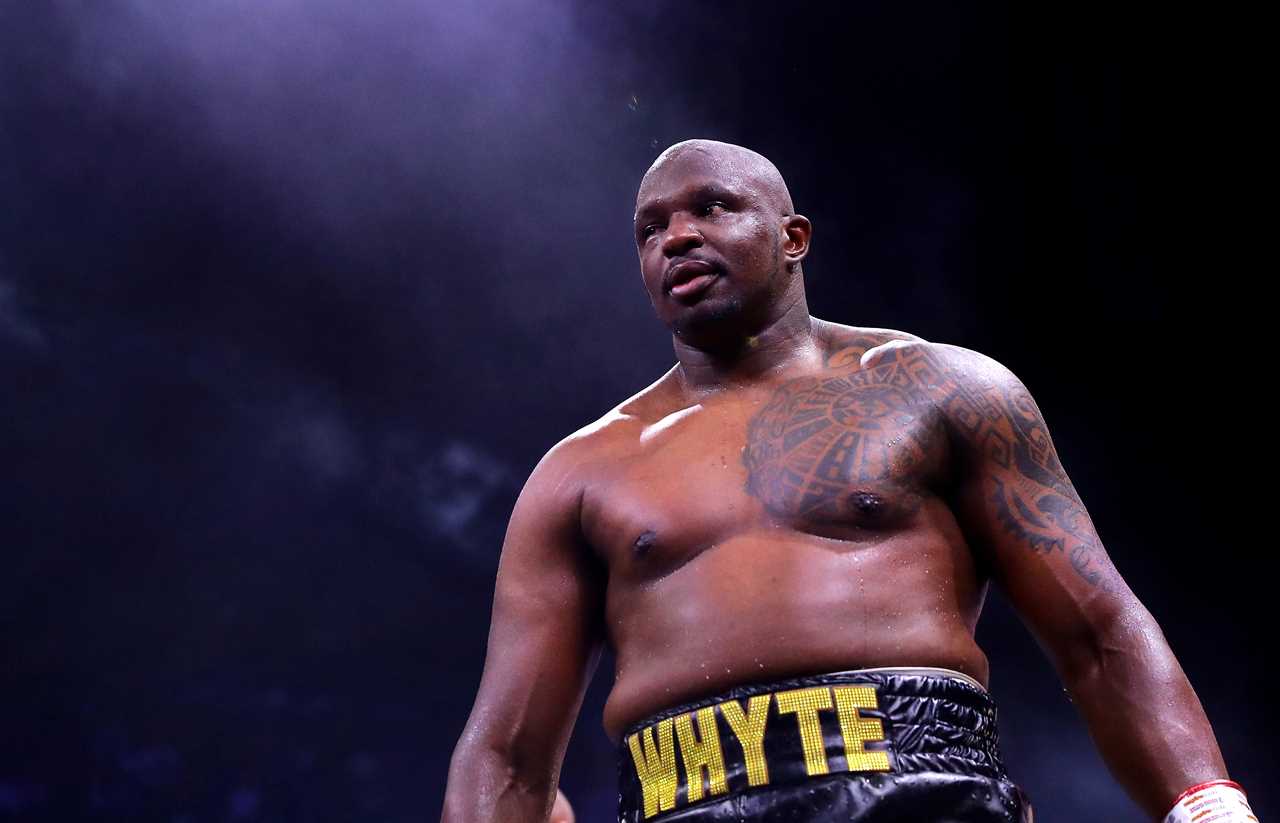 Tyson Fury and Dillian Whyte may end in KO, as both stars have 'freakishly lengthy arms'